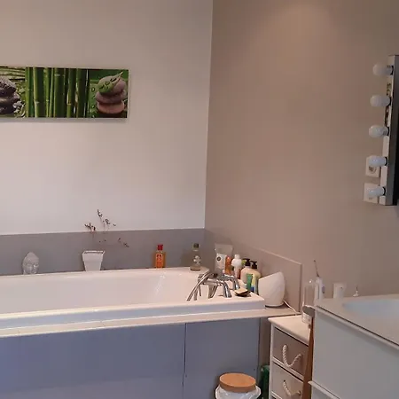 Villa Maison De 8 A 15 Pers A Proximite Du Canal Du Midi