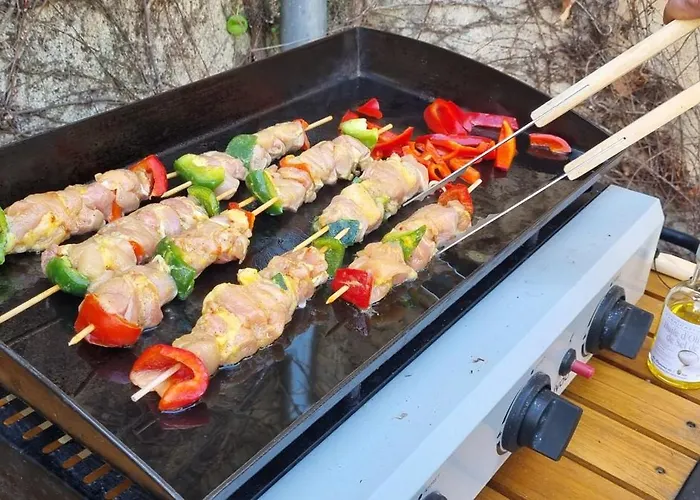 Villa Maison De 8 A 15 Pers A Proximite Du Canal Du Midi Sallèles-dʼAude